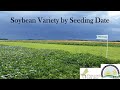 Soybean variety by seeding date