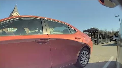 Tesla Sentry Mode Caught THIS… What Happens Next Is Unbelievable! OR NOT