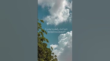 أكتب شيء تؤجر عليه 📿🤲🏻 #إسلام_صبحي #سورة_الذاريات #em_lyooy #quran