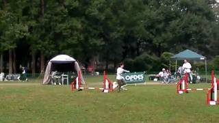 ２００９/１０/１７ 　　OPDES　 こはく　ノービス２