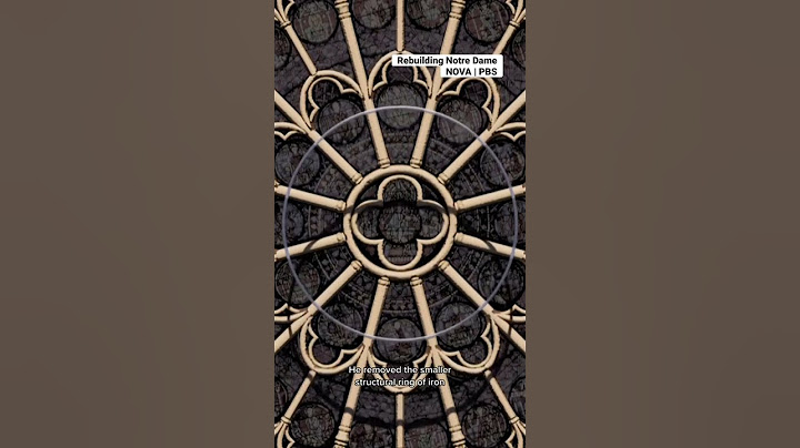 Experts uncover a hidden secret in Notre Dame’s iconic stained glass window #historyfacts #notredame
