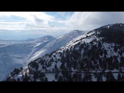 Βίντεο: Διατηρώντας τα κυκλάμινα μετά το ξεθώριασμα - Μάθετε τι να κάνετε με ένα κυκλάμινο μετά την ανθοφορία