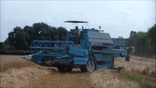 moisson 2013 - Laverda 3850 & braud 640