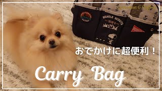 【ポメラニアン】デザイン良し！機能性もバッチリ！愛犬のための多機能キャリーバッグのご紹介【犬のおすすめグッズ】