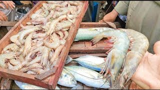 مزاد العمدة شروات سمك البحر|اسعار البوري|اسعار الجمبري