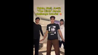 Pablo, Stell, Justin ‘The Climb' dance challenge tutorial 😂