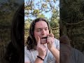 Sound of the day on the Jaw harp #jawharp #vargan #guimbarde #doromb #forest