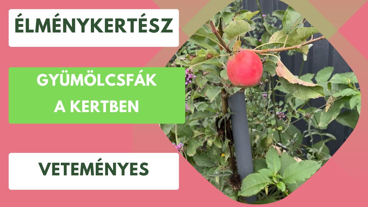 Teremnek a gyümölcsfák a kertben: Ezért érdemes gyümölcsfát ülteni!🍎🍑🍒