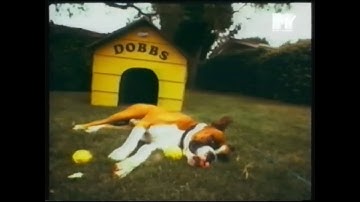 The Giant Toilet That Shocked Ozzfest ’98 The Tragic Story of SNOT & Lynn Strait