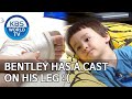 Bentley has a cast on his leg :( [The Return of Superman/2020.07.05]