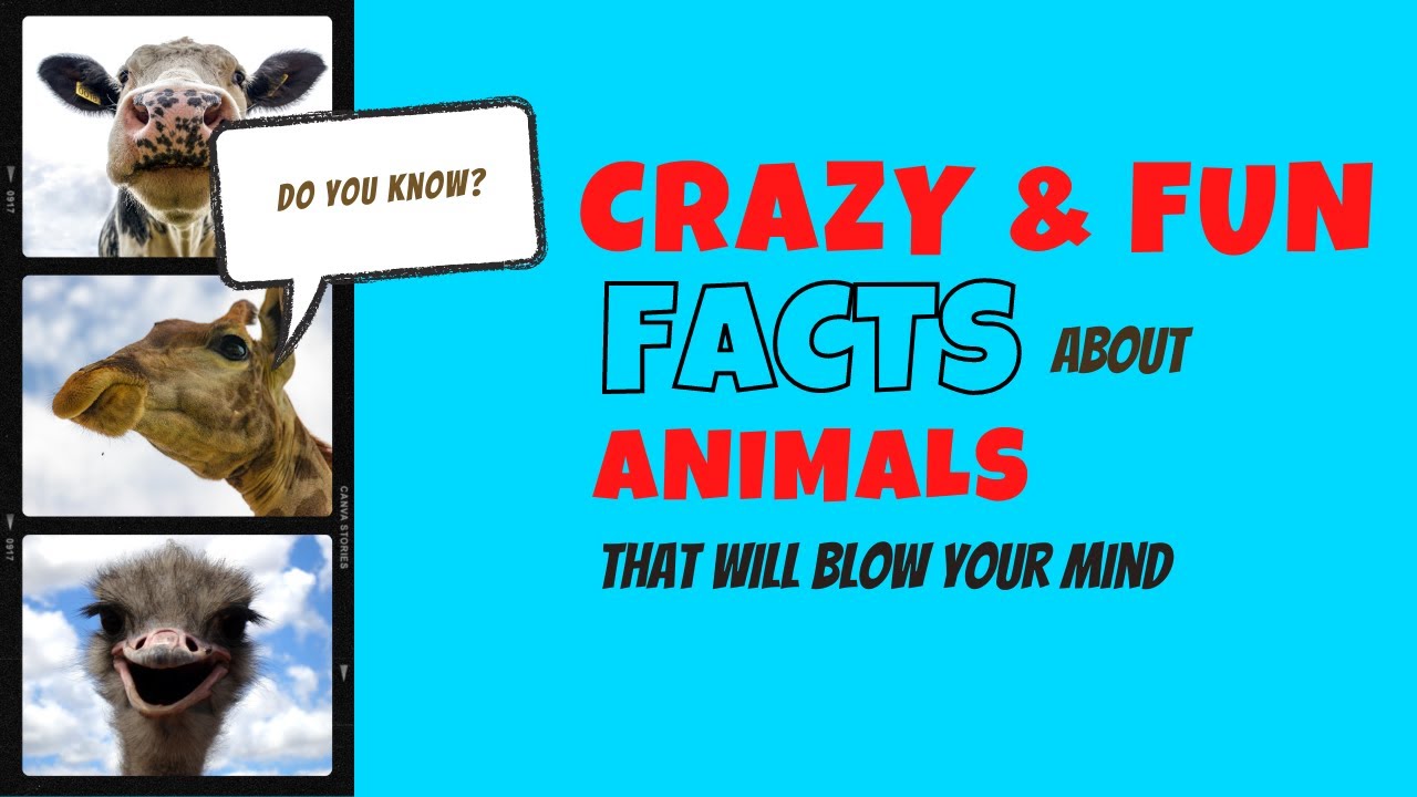 Crazy Fun facts about animals that will blow your mind | Fantasticano ...