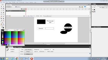 Kuis Tebak Warna If-Else Menggunakan Macromedia Flash 8