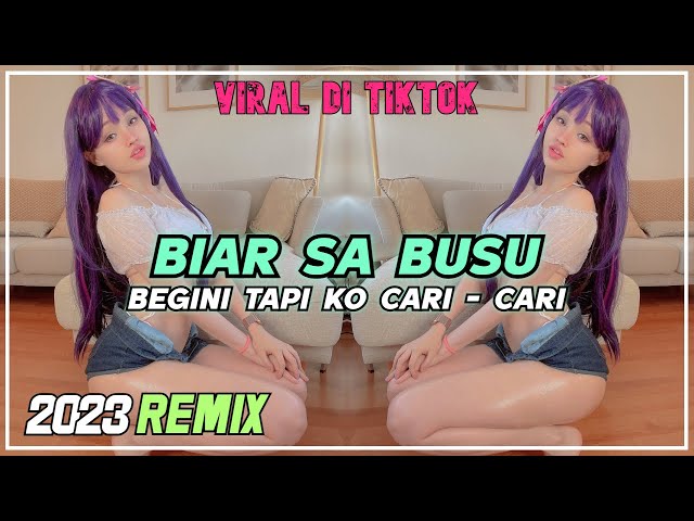 BIAR SA BUSU BEGINI | BIAR SA BUSU BEGINI TAPI KO CARI CARI REMIX | VIRAL 2023 class=