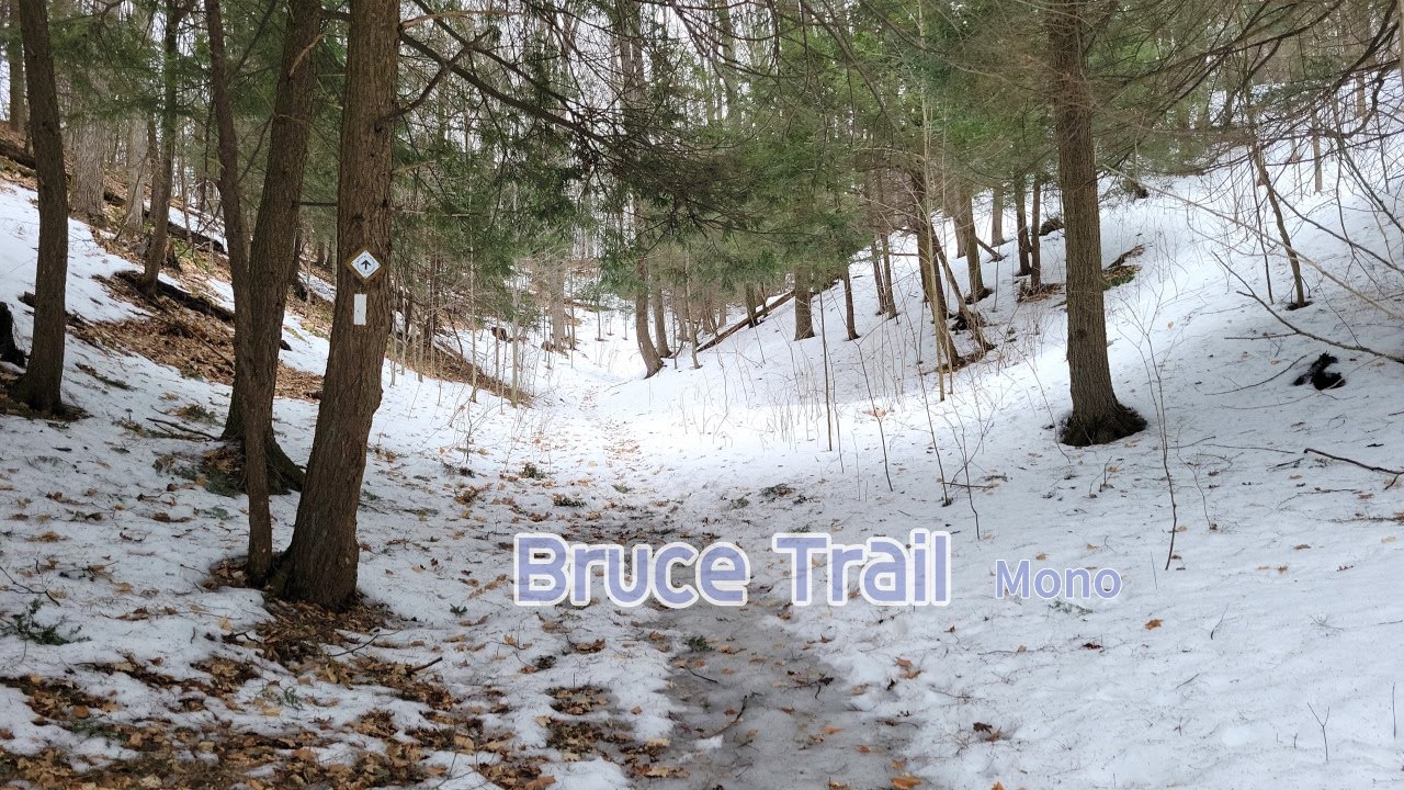 [Bruce Trail] Bruce Trail Parking 5 Line to Bruce Trail 2 [2023.04.03