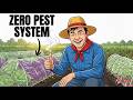 I Haven't Lost a Single Plant to Pests in 3 Years — Copy My System