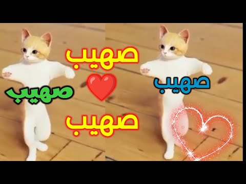 صهيب صهيب اغنية باسم صهيب اغنيه صهيب صهيب صهيب السعودية الجزائر فلسطين الامارات العراق تونس