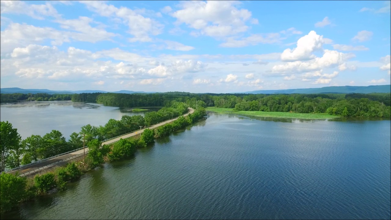 MUD CREEK Hollywood Alabama attack of barn swallows YouTube