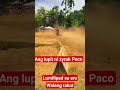 habang tumatagal lalong gumagaling c zyrah Paco sa pagka lipad Ng motor sa ere