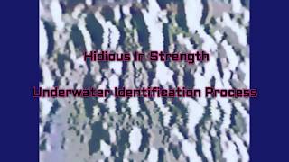 Hidious In Strength - Underwater Identification Process