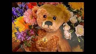 Watch Waylon Jennings Teddy Bear Song video