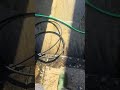 I swear I can’t get this sound out of my head 🤣#pressurewashing #satisfying #arclinec #patio