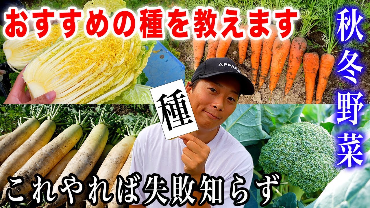 【秋冬野菜】絶対失敗しないおすすめ品種紹介〜白菜・キャベツ・ブロッコリー・レタス・菜花・大根・人参〜