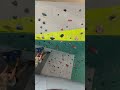 #rockclimbing #bouldering #workout #arms #fitness