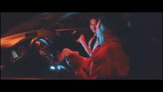 Lion Fiah - Dancehall King | Video Oficial