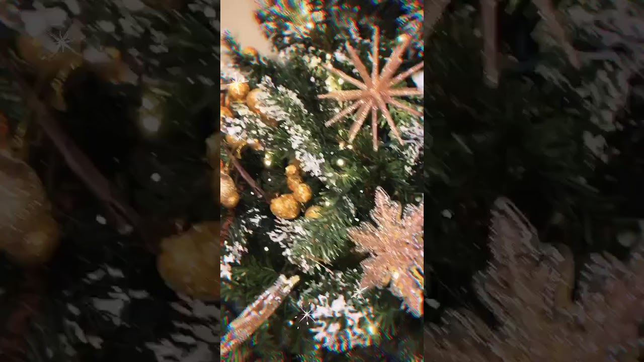 Reuse, Recycle, Rejoice Competition Winner - YouTube