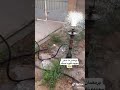 منو يدخن خل يكتب بل تعليقات منو يدخن خل يكتب بل تعليقات