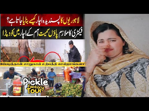 How Achaar Made In Pakistani Factory Vs How Achaar Made In Indian Factory | Pickles | Reaction!!