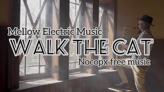 MELLOW ELECTRIC FREE BACKGROUND MUSIC {NOCOPX FREE MUSIC}[NOCOPYRIGHT FREE MUSIC]