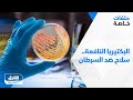 البكتيريا النافعة سلاح ضد السرطان ملفات خاصة 