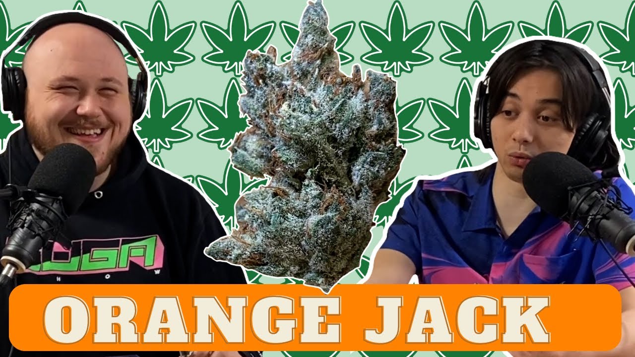 Orange Jack Review Sativa Dominant