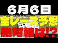 【競馬予想】６月６日全レース軸馬予想（中央競馬）