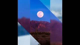 جديد 2025  قلت من أجل عين تكرم مدينه  أجمل الاغاني