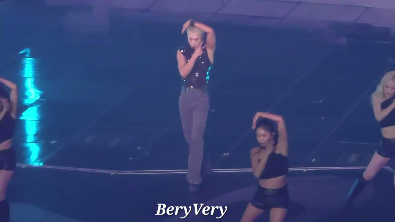 250711 호우콘서트 첫콘 호시 터치 HOSHI TOUCH [WARNING]