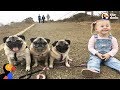 Kids Growing Up with Dogs as Their Best Friends | The Dodo