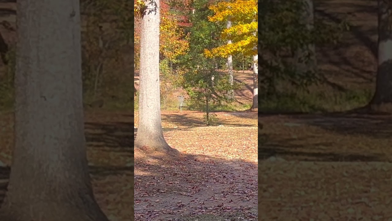 Отличное сочетание скольжения и стабильности 