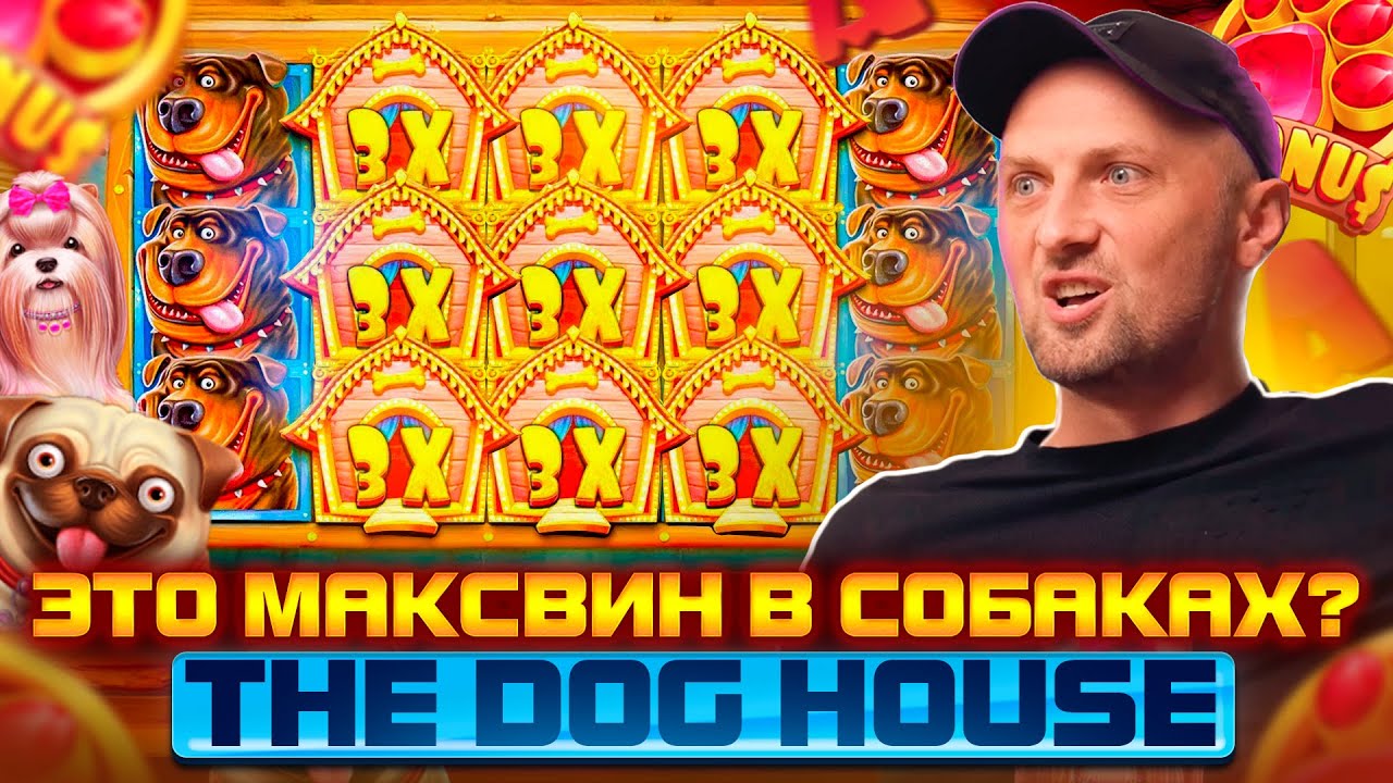 ТАКОГО ЗАНОСА В THE DOG HOUSE ЕЩЕ НЕ БЫЛО! Заносы Недели.