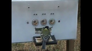 Great tit attempting to solve a puzzle box in Wytham Woods