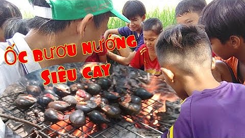 Ẩm thực quê Việt Nam | Ốc bươu nướng muối ớt siêu cay | Ra đồng bắt ốc bươu khổng lồ |Chả chiên vlog