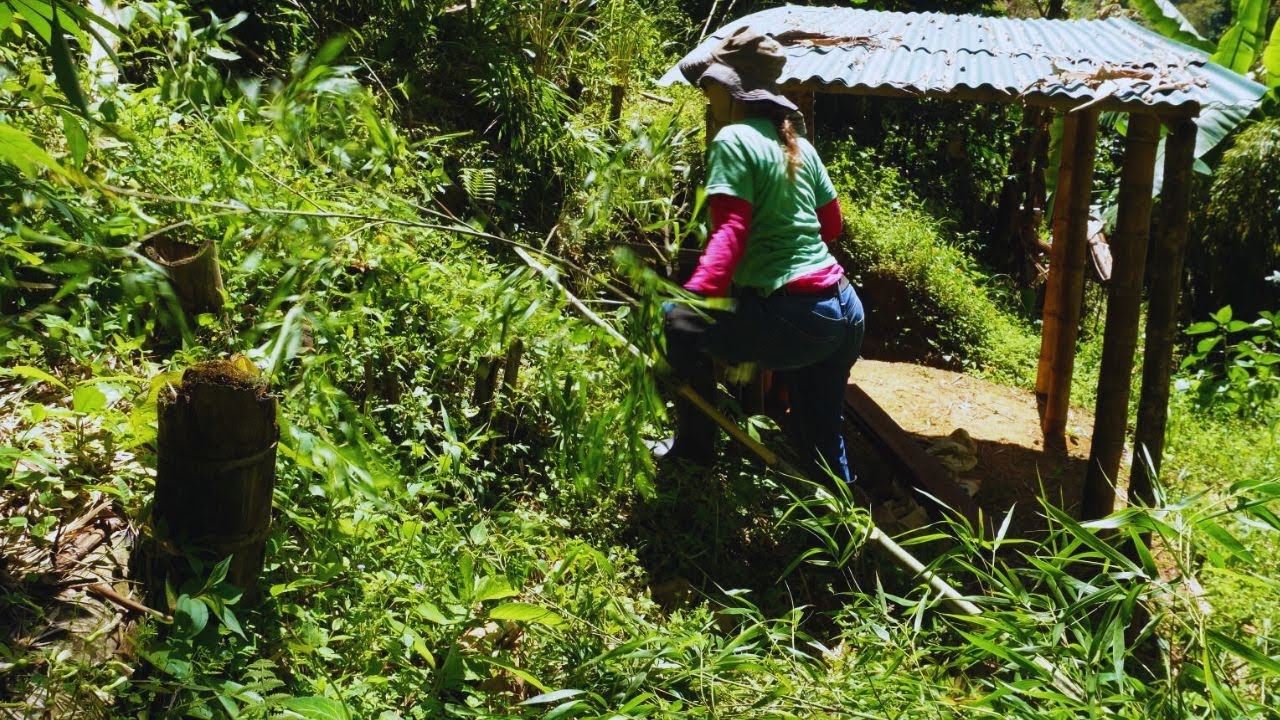 Cutting Trees | Building A Life in Rural Colombia