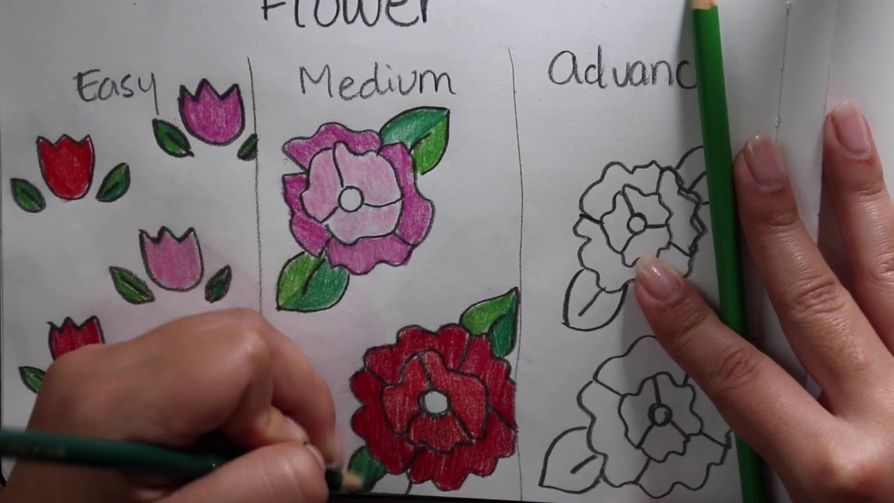 Coloring Beginner, intermediate, advance flower - YouTube