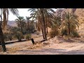 چم چشمه بهشتی در دل جهنم چشمه ای در چند کیلومتری شهر جم استان بوشهر چم چشمه بهشتی در دل جهنم چشمه ای در چند کیلومتری شهر جم استان بوشهر