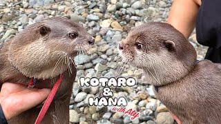 Otter Kotaro&Hana Become Friends with Aty and Chill Out Together