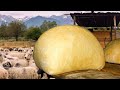 Traditional cheese making in transylvania