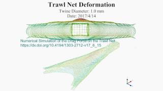 Numerical Simulation of the Drag Force on the Trawl Net