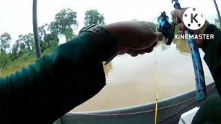 #19. Mencari lauk Di Sungai Langat. #Jenggo                      #menjenggo.           #prawnfishing