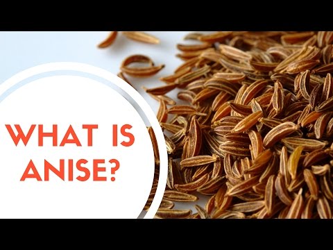 What Is Anise?